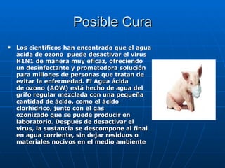 Posible Cura
   Los científicos han encontrado que el agua
    ácida de ozono puede desactivar el virus
    H1N1 de manera muy eficaz, ofreciendo
    un desinfectante y prometedora solución
    para millones de personas que tratan de
    evitar la enfermedad. El Agua ácida
    de ozono (AOW) está hecho de agua del
    grifo regular mezclada con una pequeña
    cantidad de ácido, como el ácido
    clorhídrico, junto con el gas
    ozonizado que se puede producir en
    laboratorio. Después de desactivar el
    virus, la sustancia se descompone al final
    en agua corriente, sin dejar residuos o
    materiales nocivos en el medio ambiente
 
