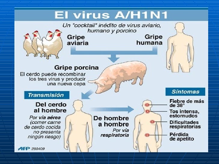 Nueva gripe