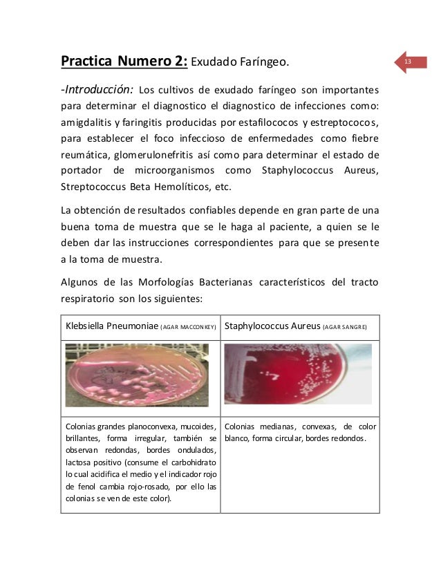 Practicas del Laboratorio Cultivos de sangre: así se produce la sustancia clave para