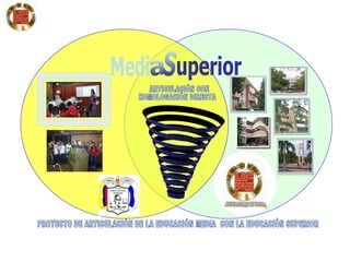 !En el Futuro de Todos¡ PROYECTO DE ARTICULACIÓN DE LA EDUCACIÓN MEDIA  CON LA EDUCACIÓN SUPERIOR ARTICULACIÓN CON  HOMOLOGACIÓN DIRECTA Medi a uperior S 