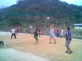 Domingos deportivos 