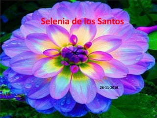 Selenia de los Santos
26-11-2018
 