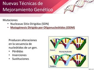 Nuevas Técnicas de
Mejoramiento Genético
Mutaciones
• Nucleasas Sitio Dirigidas (SDN)
• Mutagénesis Dirigida por Oligonucl...