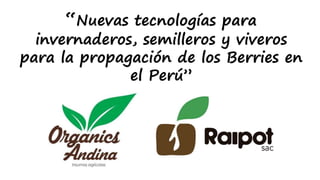 “Nuevas tecnologías para
invernaderos, semilleros y viveros
para la propagación de los Berries en
el Perú”
 