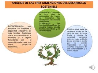 ANÁLISIS DE LAS TRES DIMENCIONES DEL DESARROLLO
                        SOSTENIBLE
                               AMBIENTAL:Cultivando
                               la    tierra   para     la
                               producción de frutas,
                               se      mejorarán     las
                               condiciones de nuestro
                               ecosistema,
                               fortaleciendo         las
                               fuentes hidrográficas de
ECONOMICA:Con          esta    nuestra región, siendo
Empresa se mejorará la         tierras productivas y no     SOCIAL:A nivel social se
capacidad adquisitiva de       abandonadas.                 mantendrá empleo en la
más familias Soatenses,                                     mano de obra, de forma
crece económicamente el                                     directa e indirecta, la
municipio y la región,                                      comunidad        campesina
                                                            tendrá un mejor ambiente
fomentando     así        el
                                                            de vida teniendo en cuenta
desarrollo social, para una                                 que       se        sentirán
mejor            proyección                                 respaldados      con    sus
económica.                                                  cosechas, porque serán de
                                                            fácil comercialización y a
                                                            buenos precios.
 