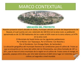 MARCO CONTEXTUAL


                              UBICACIÓN DEL PROYECTO
Nuestro proyecto estará ubicado en Soatá, municipio ubicado al norte del departamento de
    Boyacá, el cual cuenta con una extensión de 160 Km2 en la zona rural, su población
 aproximada es de 22.700 habitantes de los cuales el 63% viven en la zona urbana y el 47%
                                        en la zona rural.
                El Municipio de Soatá limita con las siguientes poblaciones:
                 Por el Norte: Con Tipacoque, Por el Oriente: Con Boavita y
                     Por el Occidente: Con Onzaga (Dpto. de Santander).
 La ubicación geográfica del municipio favorece las condiciones para el cultivo de frutas ya
  que se encuentra en la rivera del cañón del rio Chicamocha, con clima húmedo de 18°c a
26°c, que lo hace el único municipio de la región en el cultivo de frutas como el mango, la
guayaba, papaya entre otras, por otro lado tenemos el dátil único lugar en Colombia que lo
                             cultiva y el segundo a nivel mundial.
 