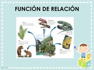 FUNCIÓN DE RELACIÓN
 