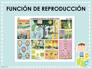 FUNCIÓN DE REPRODUCCIÓN
 