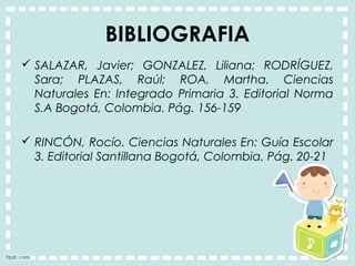 BIBLIOGRAFIA
 SALAZAR, Javier; GONZALEZ, Liliana; RODRÍGUEZ,
Sara; PLAZAS, Raúl; ROA, Martha. Ciencias
Naturales En: Integrado Primaria 3. Editorial Norma
S.A Bogotá, Colombia. Pág. 156-159
 RINCÓN, Rocío. Ciencias Naturales En: Guía Escolar
3. Editorial Santillana Bogotá, Colombia. Pág. 20-21
 