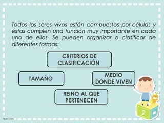 Todos los seres vivos están compuestos por células y
éstas cumplen una función muy importante en cada
uno de ellos. Se pueden organizar o clasificar de
diferentes formas:
TAMAÑO
MEDIO
DONDE VIVEN
REINO AL QUE
PERTENECEN
CRITERIOS DE
CLASIFICACIÓN
 