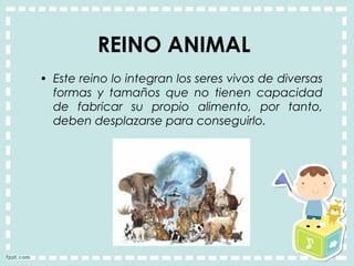 • Este reino lo integran los seres vivos de diversas
formas y tamaños que no tienen capacidad
de fabricar su propio alimento, por tanto,
deben desplazarse para conseguirlo. 
REINO ANIMAL
 