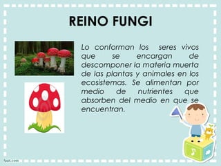 REINO FUNGI
Lo conforman los seres vivos
que se encargan de
descomponer la materia muerta
de las plantas y animales en los
ecosistemas. Se alimentan por
medio de nutrientes que
absorben del medio en que se
encuentran.  
 