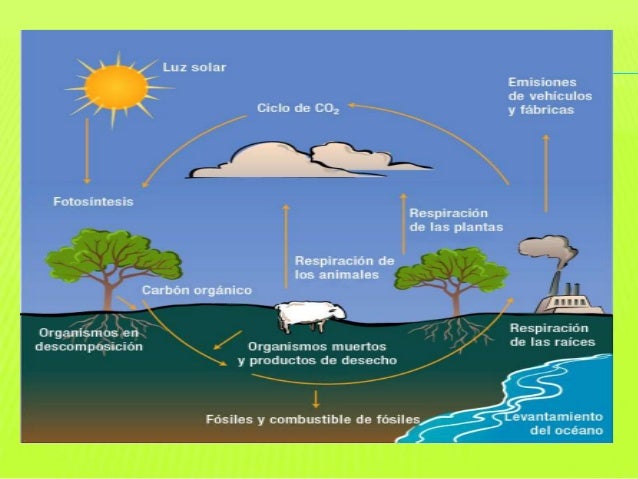 Resultado de imagen para cuales son los principales tipos de energia