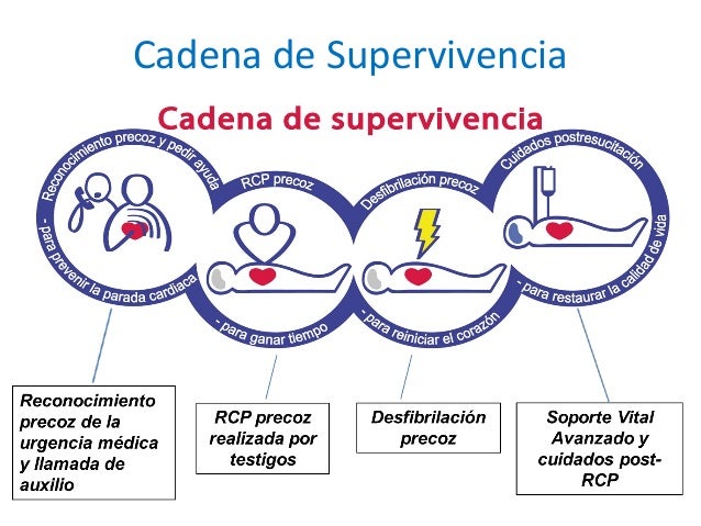cadena de supervivencia nuevas recomendaciones para la reanimaci 243 n cardiopulmonar cadena de supervivencia nuevas recomendaciones para la reanimaci 243 n cardiopulmonar