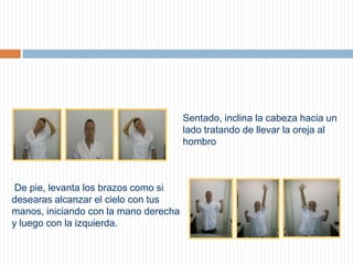 Sentado, inclina la cabeza hacia un lado tratando de llevar la oreja al hombro   De pie, levanta los brazos como si desearas alcanzar el cielo con tus manos, iniciando con la mano derecha y luego con la izquierda.   