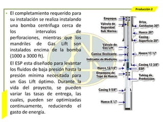 Producción 2
                  • El completamiento requerido para
                    su instalación se realiza instalando
                    una bomba centrifuga cerca de
                    los          intervalos           de
                    perforaciones, mientras que los
                    mandriles de Gas Lift son
                    instalados encima de la bomba
                    (1000 a 3000 ft).
                    El ESP esta diseñado para levantar
                    los fluidos de baja presión hasta la
                    presión mínima necesitada para
                    un Gas Lift óptimo. Durante la
                    vida del proyecto, se pueden
                    variar las tasas de entrega, las
Bombeo Mecánico




                    cuales, pueden ser optimizadas
                    continuamente, reduciendo el
                    gasto de energía.
 