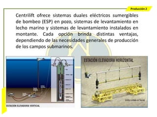 Producción 2

                  Centrilift ofrece sistemas duales eléctricos sumergibles
                  de bombeo (ESP) en pozo, sistemas de levantamiento en
                  lecho marino y sistemas de levantamiento instalados en
                  montante. Cada opción brinda distintas ventajas,
                  dependiendo de las necesidades generales de producción
                  de los campos submarinos.
Bombeo Mecánico
 