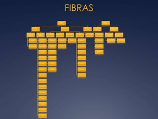 FIBRAS
FIBRAS
NATURALES
ANIMALES
de glándulas
sedosas
seda
seda salvaje
de folículos
pilosos
Pelo de
alpaca,
de angora,
de buey,
de caballo,
conejo,
castor,
camello,
cachemira,
cabra,
guanaco,
llama,
nutria,
vicuña,
yak
VEGETALES
de la semilla
algodón
del tallo
lino,
cáñamo
yute
ramio
de la hoja
abacá
sisal
del fruto
coco
otras
esparto,
banana,
dunn,
hennequén,
formio,
magüey,
ananá
MINERALES
asbesto
s
FIBRAS
ARTIFICIALES
MANUFACTUR
A FÍSICA
del papel
de metal
del vidrio
de otras
materias
MANUFACTUR
A QUÍMICA
de polímeros
naturales
conocidas
como fibras
artificiales
de polímeros
sintéticos
conocidas
como fibras
sintéticas
 