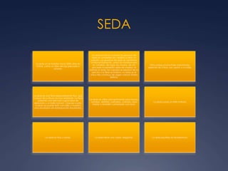 SEDA
La seda ya se trataba hace 5000 años en
China, como un bien de lujo preciado y
amado.
La seda se forma cuando los gusanos de
seda se convierten en crisálida e hilan un
capullo. Los gusanos de seda se alimentan
fundamentalmente, antes de transformarse
en crisálida, de hojas de morera, de ahí
procede al expresión seda de morera. Al
extraer la seda, los capullos se separan de la
sericina y la fibra se bobina. La seda es el
único hilo contínuo de origen natural (hasta
3000m).
Otros países productores importantes,
además de China, son Japón y La India.
La seda es una fibra especialmente fina, que
a pesar de su finura es muy resistente. La fibra
presenta una elevada capacidad de
absorción y un brillo natural . Gracias a esto,
la seda se puede teñir con brillo y muestra
unos resultados de estampación excelentes.
La seda se utiliza principalmente para blusas,
camisas, vestidos, pañuelos, corbata, ropa
interior y también combinado con lana.
La seda posse un brillo natural.
La seda es fina y suave. La seda tiene una caída elegante. La seda equilibra la temperatura.
 