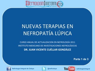 NUEVAS TERAPIAS EN NEFROPATÍA LÚPICA CURSO ANUAL DE ACTUALIZACION EN NEFROLOGÍA 2011 INSTITUTO MEXICANO DE INVESTIGACIONES NEFROLÓGICAS DR. JUAN VICENTE CUÉLLAR GONZÁLEZ Parte 1 de 3 Nefrología Integral de Celaya @neficelaya nefrologiaintegral 