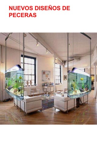 NUEVOS DISEÑOS DE  PECERAS 