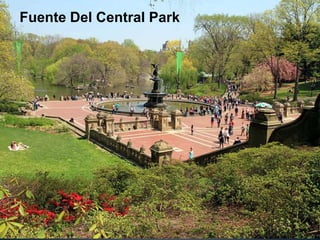 Fuente Del Central Park 
 
