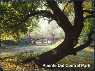 Puente Del Central Park 
 