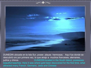 DUNEDIN ubicada en la Isla Sur, posee  playas  hermosas.  Aquí fue donde se descubrió oro por primera vez, lo que atrajo a  muchos franceses, alemanes, judíos y chinos.  DUNEDIN located in the South Island, possesses beautiful beaches. Here it was where gold been discovered for the first time, what attracted many French, Germans, Jews and Chinese   