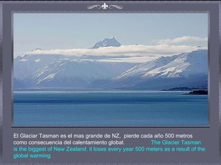 El Glaciar Tasman es el mas grande de NZ,  pierde cada año 500 metros como consecuencia del calentamiento global.  The Glacier Tasman is the biggest of New Zealand. it loses every year 500 meters   as a result of the global warming   