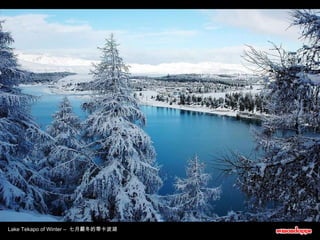 Lake Tekapo of Winter –  七月嚴冬的蒂卡波湖 