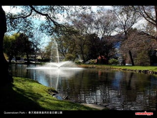 Queenstown Park –  春天裡綠意盎然的皇后鎮公園 