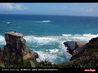 Auckland - broken ridge  奧克蘭城外的一處斷崖 , 這裡有成群的海鳥棲息於此 