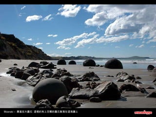 Moeraki –  摩基拉大圓石  這裡約有上百顆的圓石散落在這海灘上 