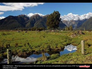 Lake Matheson – Most famous panoramas in NZ and at the far end are unforgettable postcard views of Mt Tasman and Mt Cook reflected in the water.  