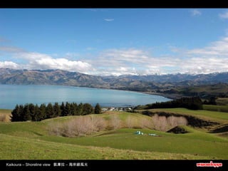 Kaikoura – Shoreline view  凱庫拉 – 海岸線風光 