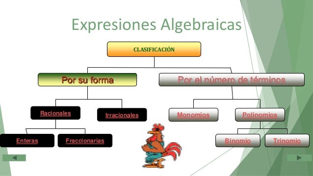 Expresiones Algebraicas