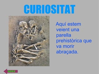 CURIOSITAT Aquí estem veient una parella prehistòrica que va morir abraçada. ÍNDEX 