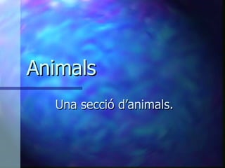 Animals Una secció d’animals. 