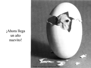 ¡Ahora llega
un año
nuevito!

Visita: www.RenuevodePlenitud.com

 