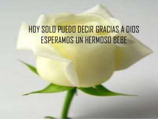 Nuevo Bebe Nuevo Bebe