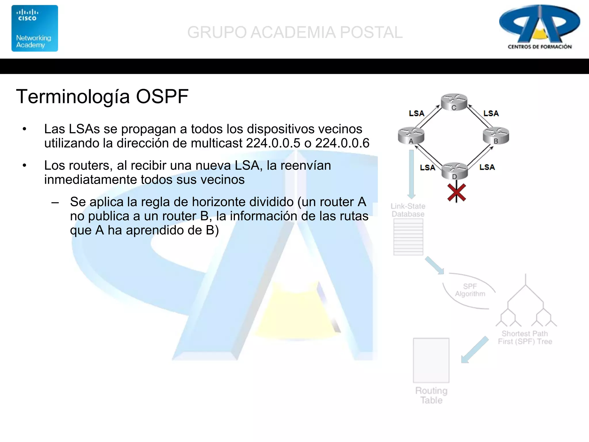 GRUPO ACADEMIA POSTAL
Terminología OSPF
• Las LSAs se propagan a todos los dispositivos vecinos
utilizando la dirección de multicast 224.0.0.5 o 224.0.0.6
• Los routers, al recibir una nueva LSA, la reenvían
inmediatamente todos sus vecinos
– Se aplica la regla de horizonte dividido (un router A
no publica a un router B, la información de las rutas
que A ha aprendido de B)
 