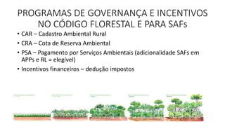 PROGRAMAS DE GOVERNANÇA E INCENTIVOS
NO CÓDIGO FLORESTAL E PARA SAFs
• CAR – Cadastro Ambiental Rural
• CRA – Cota de Reserva Ambiental
• PSA – Pagamento por Serviços Ambientais (adicionalidade SAFs em
APPs e RL = elegível)
• Incentivos financeiros – dedução impostos
 