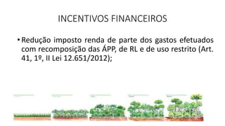 INCENTIVOS FINANCEIROS
•Redução imposto renda de parte dos gastos efetuados
com recomposição das ÁPP, de RL e de uso restrito (Art.
41, 1º, II Lei 12.651/2012);
 