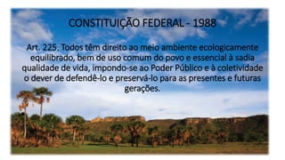 CONSTITUIÇÃO FEDERAL - 1988
Art. 225. Todos têm direito ao meio ambiente ecologicamente
equilibrado, bem de uso comum do povo e essencial à sadia
qualidade de vida, impondo-se ao Poder Público e à coletividade
o dever de defendê-lo e preservá-lo para as presentes e futuras
gerações.
 