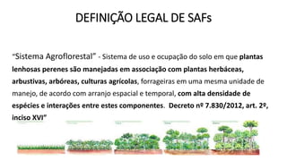 DEFINIÇÃO LEGAL DE SAFs
“Sistema Agroflorestal” - Sistema de uso e ocupação do solo em que plantas
lenhosas perenes são manejadas em associação com plantas herbáceas,
arbustivas, arbóreas, culturas agrícolas, forrageiras em uma mesma unidade de
manejo, de acordo com arranjo espacial e temporal, com alta densidade de
espécies e interações entre estes componentes. Decreto nº 7.830/2012, art. 2º,
inciso XVI”
 