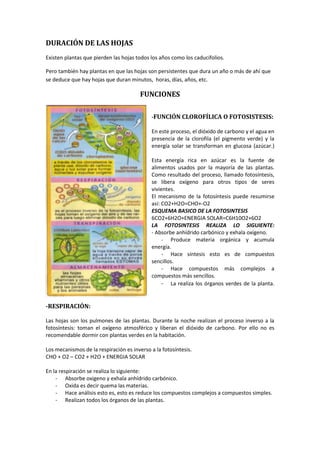 Nuevo Documental De Las Hojas