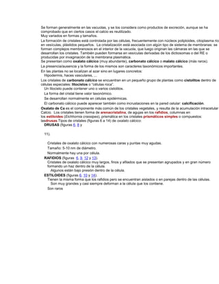 Se forman generalmente en las vacuolas, y se los considera como productos de excreción, aunque se ha
comprobado que en ciertos casos el calcio es reutilizado.
Muy variados en formas y tamaños.
La formación de cristales está controlada por las células, frecuentemente con núcleos poliploides, citoplasma rico
en vesículas, plástidos pequeños. La cristalización está asociada con algún tipo de sistema de membranas: se
forman complejos membranosos en el interior de la vacuola, que luego originan las cámaras en las que se
desarrollan los cristales. También pueden formarse en vesículas derivadas de los dictiosomas o del RE o
producidas por invaginación de la membrana plasmática.
Se presentan como oxalato cálcico (muy abundante), carbonato cálcico o malato cálcico (más raros).
La presencia/ausencia y la forma de los mismos son caracteres taxonómicos importantes.
En las plantas no se localizan al azar sino en lugares concretos:
Hipodermis, haces vasculares, ...
Los cristales de carbonato cálcico se encuentran en un pequeño grupo de plantas como cistolitos dentro de
células especiales: litocistos o “células roca”.
Un litocisto puede contener uno o varios cistolitos.
La forma del cristal tiene valor taxonómico.
Se desarrollan normalmente en células epidérmicas.
El carbonato cálcico puede aparecer también como incrustaciones en la pared celular: calcificación.
Oxalato de Ca es el componente más común de los cristales vegetales, y resulta de la acumulación intracelular
Calcio. Los cristales tienen forma de arenacristalina, de agujas en los rafidios, columnas en
los estiloides (Eichhornia crassipes), prismática en los cristales prismáticos simples o compuestos:
lasdrusas.Tipos de cristales (figuras 6 a 14) de oxalato cálcico:
DRUSAS (figuras 6, 8 y
11).
Cristales de oxalato cálcico con numerosas caras y puntas muy agudas.
Tamaño: 5-10 nm de diámetro.
Normalmente hay una por célula.
RAFIDIOS (figuras 6, 9, 12 y 13).
Cristales de oxalato cálcico muy largos, finos y afilados que se presentan agrupados y en gran número
formando un haz dentro de la célula.
Algunos están bajo presión dentro de la célula.
ESTILOIDES (figuras 6, 10 y 14).
Tienen la misma forma que los rafidios pero se encuentran aislados o en parejas dentro de las células.
Son muy grandes y casi siempre deforman a la célula que los contiene.
Son raros
 