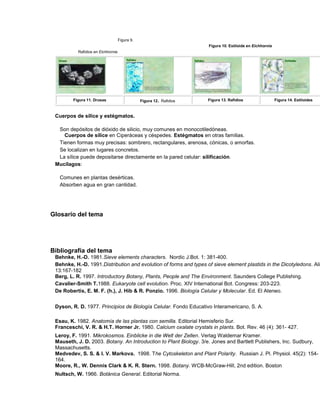 Figura 9.
Rafidios en Eichhornia
Figura 10. Estiloide en Eichhornia
Figura 11. Drusas Figura 12. Rafidios Figura 13. Rafidios Figura 14. Estiloides
Cuerpos de sílice y estégmatos.
Son depósitos de dióxido de silicio, muy comunes en monocotiledóneas.
Cuerpos de sílice en Ciperáceas y céspedes. Estégmatos en otras familias.
Tienen formas muy precisas: sombrero, rectangulares, arenosa, cónicas, o amorfas.
Se localizan en lugares concretos.
La sílice puede depositarse directamente en la pared celular: silificación.
Mucílagos:
Comunes en plantas desérticas.
Absorben agua en gran cantidad.
Glosario del tema
Bibliografía del tema
Behnke, H.-D. 1981.Sieve elements characters. Nordic J.Bot. 1: 381-400.
Behnke, H.-D. 1991.Distribution and evolution of forms and types of sieve element plastids in the Dicotyledons. Alis
13:167-182
Berg, L. R. 1997. Introductory Botany, Plants, People and The Environment. Saunders College Publishing.
Cavalier-Smith T.1988. Eukaryote cell evolution. Proc. XIV International Bot. Congress: 203-223.
De Robertis, E. M. F. (h.), J. Hib & R. Ponzio. 1996. Biología Celular y Molecular. Ed. El Ateneo.
Dyson, R. D. 1977. Principios de Biología Celular. Fondo Educativo Interamericano, S. A.
Esau, K. 1982. Anatomía de las plantas con semilla. Editorial Hemisferio Sur.
Franceschi, V. R. & H.T. Horner Jr. 1980. Calcium oxalate crystals in plants. Bot. Rev. 46 (4): 361- 427.
Leroy, F. 1991. Mikrokosmos. Einblicke in die Welt der Zellen. Verlag Waldemar Kramer.
Mauseth, J. D. 2003. Botany. An Introduction to Plant Biology. 3/e. Jones and Bartlett Publishers, Inc. Sudbury,
Massachusetts.
Medvedev, S. S. & I. V. Markova. 1998. The Cytoskeleton and Plant Polarity. Russian J. Pl. Physiol. 45(2): 154-
164.
Moore, R., W. Dennis Clark & K. R. Stern. 1998. Botany. WCB-McGraw-Hill, 2nd edition. Boston
Nultsch, W. 1966. Botánica General. Editorial Norma.
 