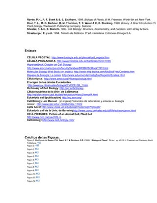 Raven, P.H., R. F. Evert & S. E. Eichhorn. 1999. Biology of Plants, W.H. Freeman: Worth 6th ed. New York
Rost, T. L., M. G. Barbour, R. M. Thornton, T. E. Weier & C. R. Stocking. 1998. Botany. A Brief Introduction To
Plant Biology. Wadsworth Publishing Company. Belmont
Sheeler, P. & D. E. Bianchi. 1980. Cell Biology: Structure, Biochemistry, and Function. John Wiley & Sons.
Strasburger, E. y col. 1994. Tratado de Botánica. 8ª ed. castellana. Ediciones Omega S.A
Enlaces
CÉLULA VEGETAL: http://www.biologia.edu.ar/plantas/cell_vegetal.htm
CÉLULA PROCARIOTA: http://www.biologia.edu.ar/bacterias/micro1.htm
Hypertextbook Chapter on Cell Biology:
http://www.emc.maricopa.edu/faculty/farabee/BIOBK/BioBookTOC.html
Molecular Biology Web Book (en inglés) http://www.web-books.com/MoBio/Free/Contents.htm
Repaso de biología: La célula; http://www.eduvinet.de/mallig/bio/Repetito/Bzelles.html
Célula típica; http://www.arrakis.es/~lluengo/celula.html
El origen de las células Eucariontes
http://www.uv.cl/escuelas/biologia/EVOCEL99_1.htm
Dictionary of Cell Biology: http://on.to/dictionary
Célula eucariota de la Univ. de Salamanca
http://edicion-micro.usal.es/web/educativo/micro2/tema04.html
Eukariotic cell (publicación) http://ec.asm.org/
Cell Biology Lab Manual: (en inglés) Protocolos de laboratorio y enlaces a biología
celular. http://www.gac.edu/~cellab/index-1.html
Cells Alive! http://www-class.unl.edu/bios201a/spring97/group6/
Eukariotic cell de la Univ. de Berkeleyhttp://www.ucmp.berkeley.edu/alllife/eukaryotamm.html
CELL PICTURES: Picture of an Animal Cell, Plant Cell
http://www.rkm.com.au/CELL/
Cell-biology http://www.cell-biology.com/
Créditos de las Figuras.
Figura 1: Modificada de Raven, P.H, Evert, R.F. & Eichhorn, S.E. (1999). “Biology of Plants”, 6th ed.; pg. 40. W.H. Freeman and Company Worth
Publishers.
Figura 2:
Figura 3:
Figura 4:
Figura 5:
Figura 6:
Figura 7:
Figura 8:
Figura 9:
Figura 10:
Figura 11:
Figura 12:
 