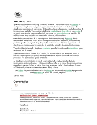RAFIDIOS DRUSAS
4)- Gracias al contenido vacuolar y al tamaño, la célula, a parte de satisfacer el consumo de
nitrógeno del citoplasma, consigue una gran superficie de contacto entre la fina capa del
citoplasma y su entorno. El incremento del tamaño de la vacuola da como resultado también el
incremento de la célula. Una consecuencia de esta estrategia es el desarrollo de una presión de
turgencia, que permite mantener a la célula hidratada, y el mantenimiento de la rigidez del
tejido, unas de las principales funciones de las vacuolas y del tonoplasto.
Otras de las funciones es la de la desintegración de macromoléculas y el reciclaje de sus
componentes dentro de la célula. Todos los orgánulos celulares, ribosomas, mitocondrias y
plastidios pueden ser depositados y degradados en las vacuolas. Debido a su gran actividad
digestiva, son comparadas a los orgánulos de las células animales denominados lisosomas.
También aíslan del resto del citoplasma productos secundarios tóxicos del metabolismo, como
la nicotina (un alcaloide).
5)- La relación entre la función de la vacuola y la pared celular es que la segunda limita el
tamaño del protoplasto y lo protege de una posible rotura debida al aumento de volumen
provocado por la entrada de agua a la vacuola.
6)-En el microscopio fotónico se puede observar la célula vegetal, y en ella plastidios
(cloroplastos, amiloplastos, etc.) y refiriéndose a la vacuola, no se puede divisar su membrana
(tonoplasto), pero se deduce su ubicación porque se pueden ver las cristalizaciones (drusas y
rafidios) de algunas sustancias que componen el jugo celular.
Este trabajo fue presentado a la cátedra de Biología de la Facultad de Ciencias Agropecuarias
de la Universidad Católica de Córdoba, Argentina.
Esteban Balla
Comentarios

Lunes, 1 de Febrero de 2010 a las 21:59 | 0
Alejandro López Jiménez López Jiménez
Esta muy completa. Pero queria ver sus funciones como tal, aunque explica bien sus partes y
algunas funciones de la vacuola. Tambien me hubiera gustado ver cuales eran las funciones de la
vacuola central. Pero en general todo esta bien.
Hasta Pronto
Cordialmente.
Alejandro López Jiménez
 